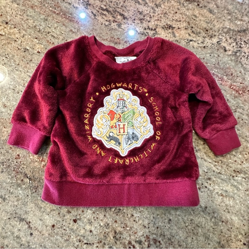Kids Hogwarts Crest Maroon Pullover Sweatshirt